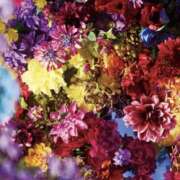 ヒメ日記 2025/06/19 00:32 投稿 千景【これぞリアル峰不二子】 Beppin house