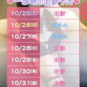 ひな 【Dx】来週の予定です? クラブダイアモンド梅田店