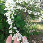 ヒメ日記 2025/03/27 13:28 投稿 美咲(みさき) エッチな熟女(広島)