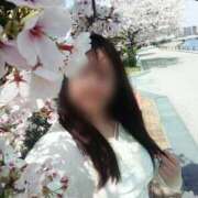 ヒメ日記 2025/04/12 16:58 投稿 美咲(みさき) エッチな熟女(広島)