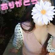 ヒメ日記 2025/07/22 10:50 投稿 美咲(みさき) エッチな熟女(広島)