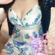 ヒメ日記 2026/06/29 10:30 投稿 美咲(みさき) エッチな熟女(広島)