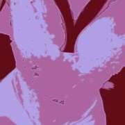 ヒメ日記 2025/04/08 21:47 投稿 佐織 上野人妻城