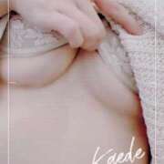 ヒメ日記 2025/09/29 14:27 投稿 織田　かえで 五反田ヒーローズ（ユメオト）