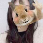 ヒメ日記 2025/12/16 13:38 投稿 かえで シロガネーテ白金(ユメオト)