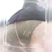 ヒメ日記 2025/12/30 14:31 投稿 かえで シロガネーテ白金(ユメオト)