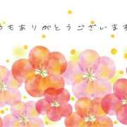 ヒメ日記 2026/02/23 15:31 投稿 かえで シロガネーテ白金(ユメオト)
