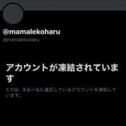 ヒメ日記 2026/03/17 16:57 投稿 こはる ママれもん葛西店