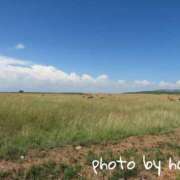 ヒメ日記 2025/01/08 13:21 投稿 はる 奥鉄オクテツ東京店（デリヘル市場）