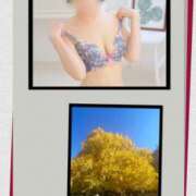 はる 雨女＆雨男が起こした奇跡 奥鉄オクテツ東京店（デリヘル市場）