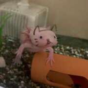 ヒメ日記 2025/02/24 16:54 投稿 すず ぽっちゃり巨乳専門店 町田相模原ちゃんこ