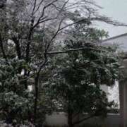 ヒメ日記 2025/03/19 14:22 投稿 青崎-あおさき MSC 妄想紳士倶楽部 鶯谷店