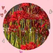 まいこ 秋のご挨拶🍂 鶯谷おかあさん