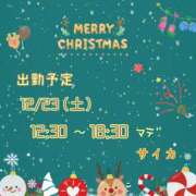 ヒメ日記 2023/12/19 21:08 投稿 サイカ 奥様の秘密のお仕事