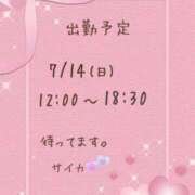 ヒメ日記 2024/07/10 22:13 投稿 サイカ 奥様の秘密のお仕事