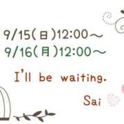 ヒメ日記 2024/09/13 20:00 投稿 サイカ 奥様の秘密のお仕事