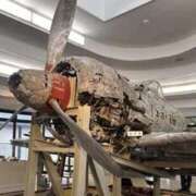 ヒメ日記 2025/05/25 12:26 投稿 京香 快楽玉乱堂