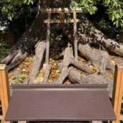 ヒメ日記 2025/06/05 12:56 投稿 京香 快楽玉乱堂