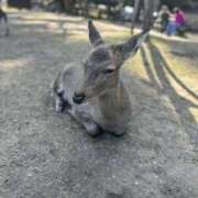 ヒメ日記 2025/11/09 13:36 投稿 京香 快楽玉乱堂