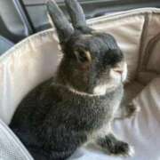 ヒメ日記 2026/02/02 14:11 投稿 京香 快楽玉乱堂