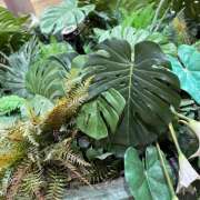 ヒメ日記 2025/10/14 13:35 投稿 水越まい ローテンブルク