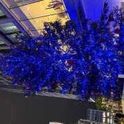 ヒメ日記 2025/12/24 10:20 投稿 水越まい ローテンブルク