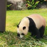 ヒメ日記 2025/05/03 08:30 投稿 ましろ奥様 人妻です