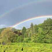 ヒメ日記 2025/05/27 10:49 投稿 ましろ奥様 人妻です