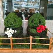 ヒメ日記 2025/06/28 10:06 投稿 ましろ奥様 人妻です