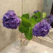 ヒメ日記 2025/06/30 08:15 投稿 ましろ奥様 人妻です