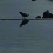 ヒメ日記 2025/08/06 08:14 投稿 ましろ奥様 人妻です