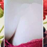 ヒメ日記 2025/09/28 09:42 投稿 ましろ奥様 人妻です