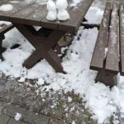 ヒメ日記 2026/01/22 08:07 投稿 ましろ奥様 人妻です