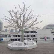 ヒメ日記 2026/02/08 12:09 投稿 ましろ奥様 人妻です