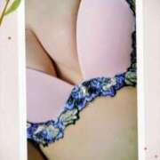 ヒメ日記 2026/02/17 08:10 投稿 ましろ奥様 人妻です