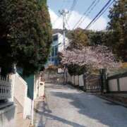 ヒメ日記 2026/04/02 18:36 投稿 ましろ奥様 人妻です