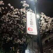 ヒメ日記 2026/04/06 08:07 投稿 ましろ奥様 人妻です