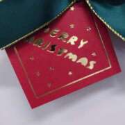 ヒメ日記 2024/12/22 19:34 投稿 冬月ゆう アロマピュアン新橋（シンデレラグループ）