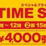 蜜蜂 🌺 TIMESALE ⏰ BBW（ビッグビューティフルウーマン）