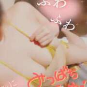 ヒメ日記 2025/03/18 12:19 投稿 蜜蜂 BBW（ビッグビューティフルウーマン）