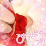 ヒメ日記 2025/03/31 14:49 投稿 蜜蜂 BBW（ビッグビューティフルウーマン）