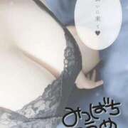 蜜蜂 出勤！ BBW（ビッグビューティフルウーマン）