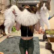 ヒメ日記 2025/09/11 15:02 投稿 RENO GINGIRA☆TOKYO～ギンギラ東京～