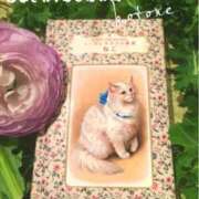 ヒメ日記 2025/02/06 09:46 投稿 琴音 バッキンガム