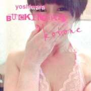 ヒメ日記 2025/02/20 20:33 投稿 琴音 バッキンガム