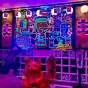 ヒメ日記 2025/07/03 23:19 投稿 琴音 バッキンガム