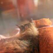 ヒメ日記 2025/10/11 20:09 投稿 琴音 バッキンガム