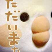 ヒメ日記 2025/02/14 23:35 投稿 なな バッキンガム