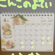 ヒメ日記 2025/04/16 21:46 投稿 なな バッキンガム