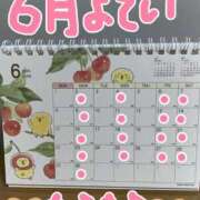 ヒメ日記 2025/05/30 23:52 投稿 なな バッキンガム